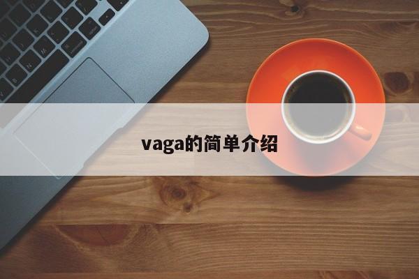 vaga的简单介绍