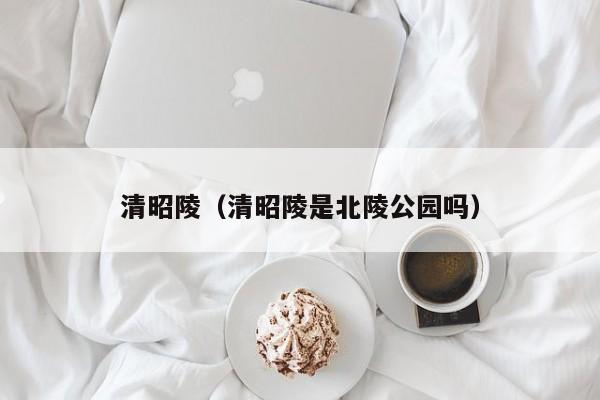 清昭陵（清昭陵是北陵公园吗）