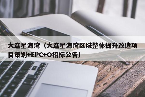 大连星海湾（大连星海湾区域整体提升改造项目策划+EPC+O招标公告）